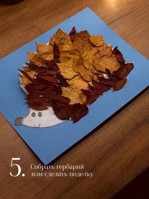 5 идей для уютного осеннего выходного в Надыме 5 идей для уютного осеннего выходного в Надыме