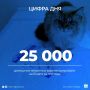 Кот Дио из Салехарда – юбилейный зарегистрированный питомец на Ямале
