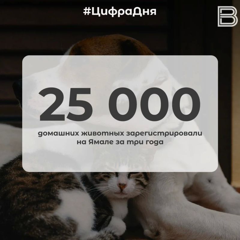 25 000 домашних животных зарегистрировали на Ямале за три года