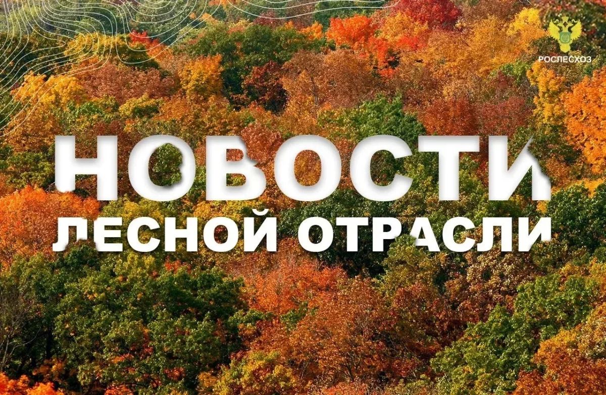 AK&M: В 31 регионе России за прошедшую неделю потушено 183 лесных пожара