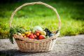 В России планируют следить за ценообразованием основных продуктов