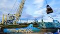 Сельхозпредприятия Приуральского района формируют запас кормов на зиму