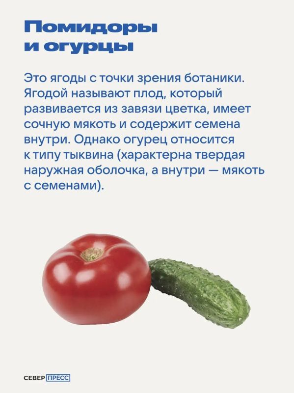 Думаете, что знаете все об обычных вещах? Мы уверены, что нет! Ловите подборку фактов, которые перевернут ваши представления — от обычного колпачка ручки до привычных нам «овощей» Думаете, что знаете все об обычных вещах? Мы уверены, что нет! Ловите подборку фактов, которые перевернут ваши представления — от обычного колпачка ручки до привычных нам «овощей»