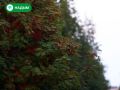 Большое складывается из маленького