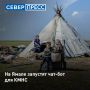 На Ямале запустят чат-бот для КМНС