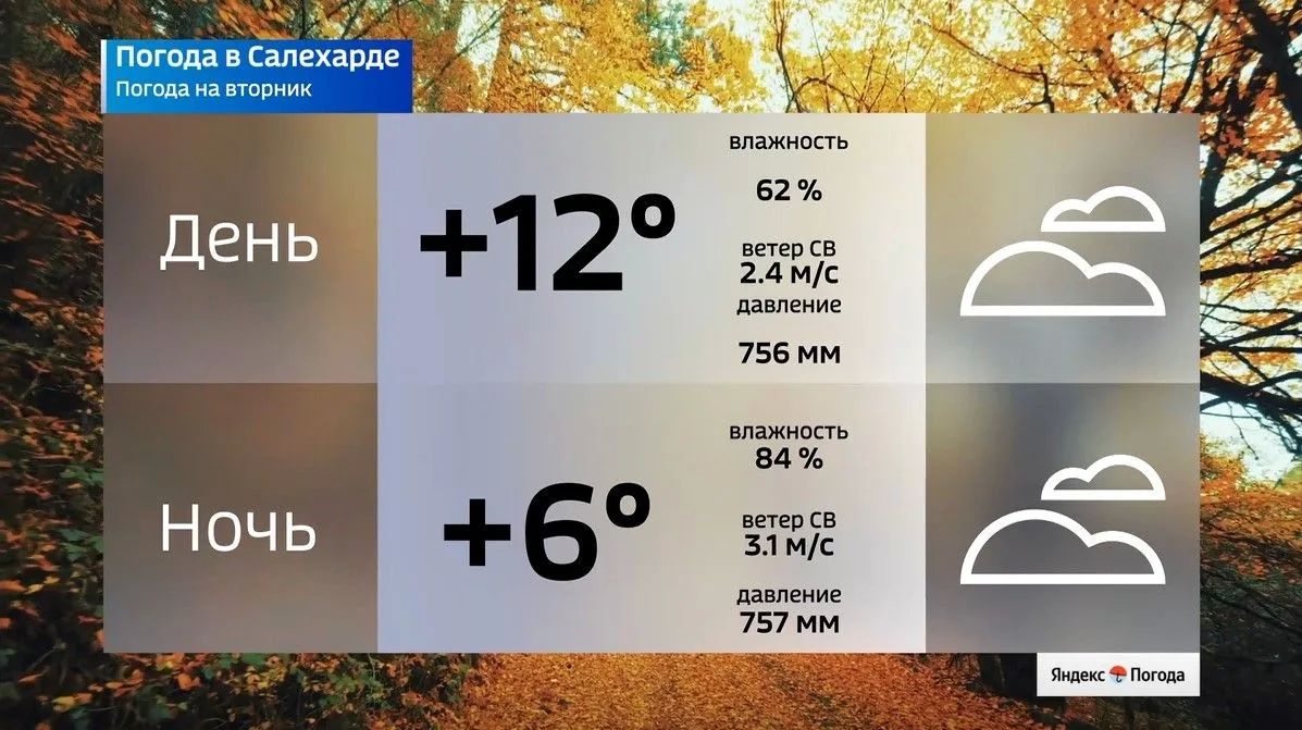Прогноз погоды на Ямале на 15 сентября Прогноз погоды на Ямале на 15 сентября