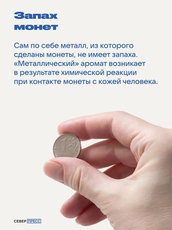 Думаете, что знаете все об обычных вещах? Мы уверены, что нет! Ловите подборку фактов, которые перевернут ваши представления — от обычного колпачка ручки до привычных нам «овощей» Думаете, что знаете все об обычных вещах? Мы уверены, что нет! Ловите подборку фактов, которые перевернут ваши представления — от обычного колпачка ручки до привычных нам «овощей»