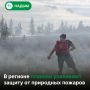 Парашютисты-десантники из ХМАО помогают тушить лесные пожары на Ямале