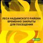 В Надымском районе введён режим чрезвычайной ситуации в леса