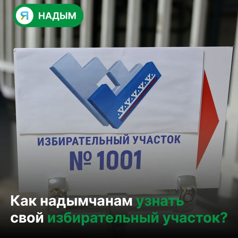Завтра в Надымском район стартует единый день голосования