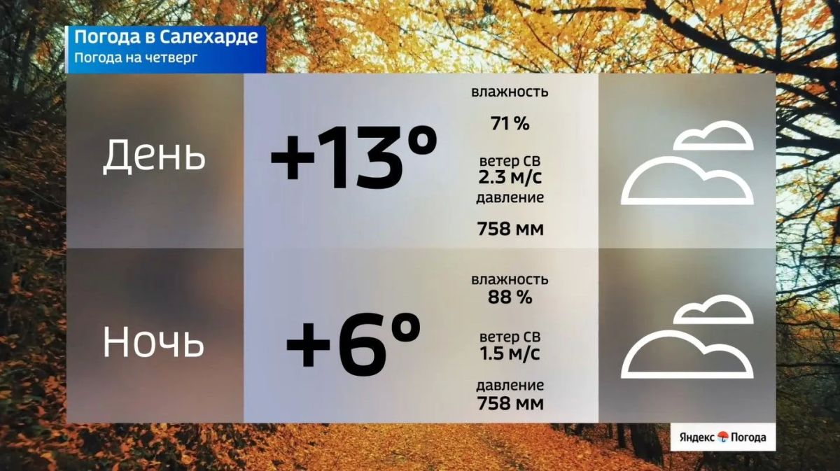 Облачно и тепло: погода на Ямале 17 сентября Облачно и тепло: погода на Ямале 17 сентября