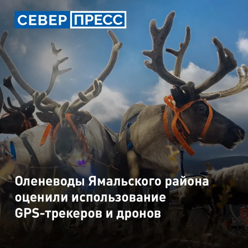 На Ямале прошли первые испытания проекта «Безопасная тундра»