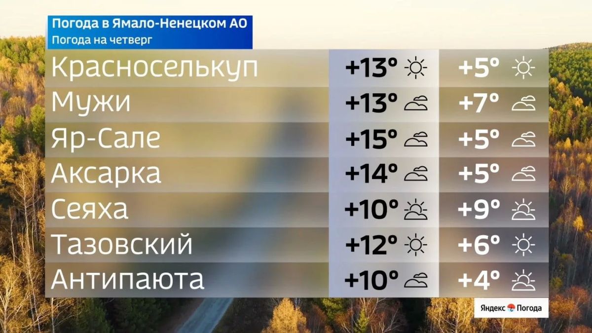 Облачно и тепло: погода на Ямале 17 сентября Облачно и тепло: погода на Ямале 17 сентября
