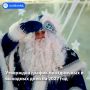 Утверждён график праздничных и выходных дней на 2027 год