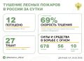 За прошедшие сутки в 10 регионах России потушили 5 лесных пожара