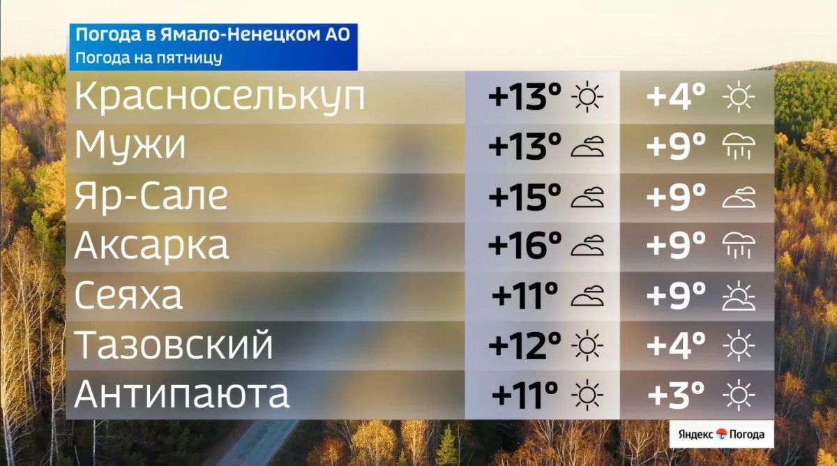 Пятница принесёт Ямалу дождливую погоду Пятница принесёт Ямалу дождливую погоду
