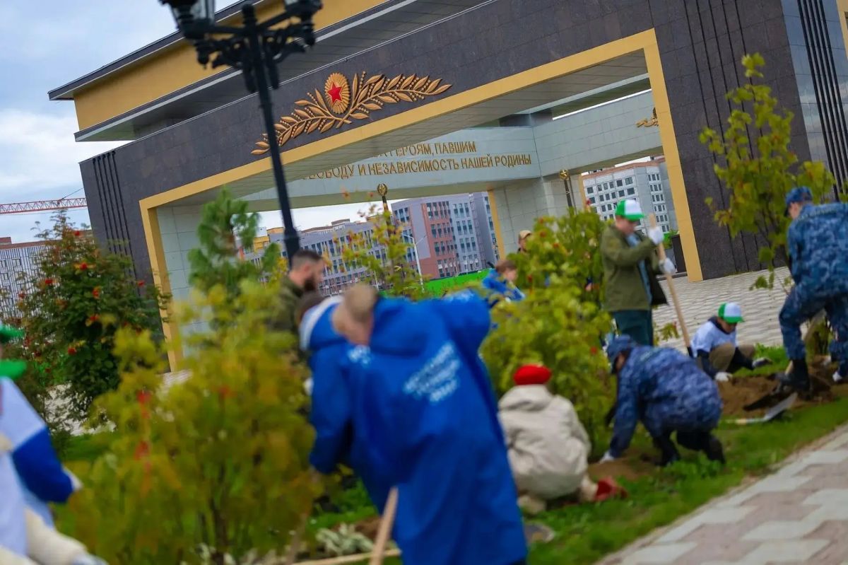 В Парке Победы в Салехарде высадили рябины и березы В Парке Победы в Салехарде высадили рябины и березы