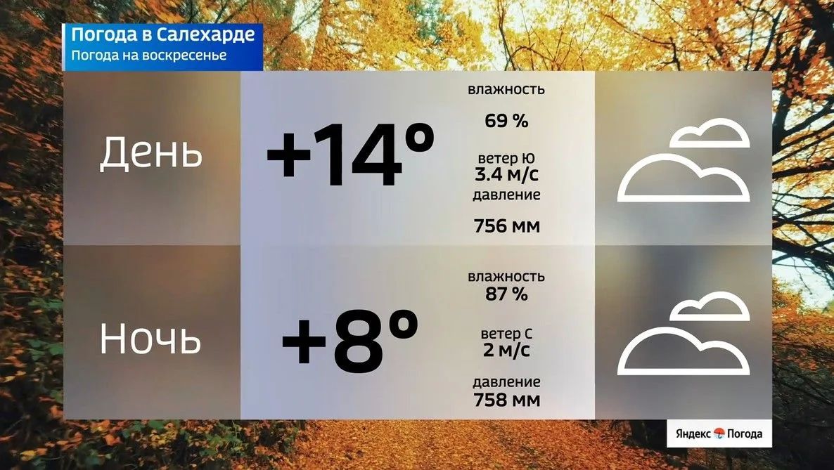 Ямалу обещают спокойное воскресенье Ямалу обещают спокойное воскресенье