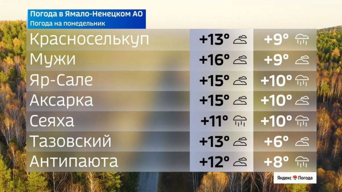 Погода на Ямале на понедельник Погода на Ямале на понедельник