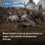 Ямал привлекает российских туристов, предлагая глубокое этнографическое погружение