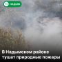 В муниципалитете действует 19 лесных пожаров