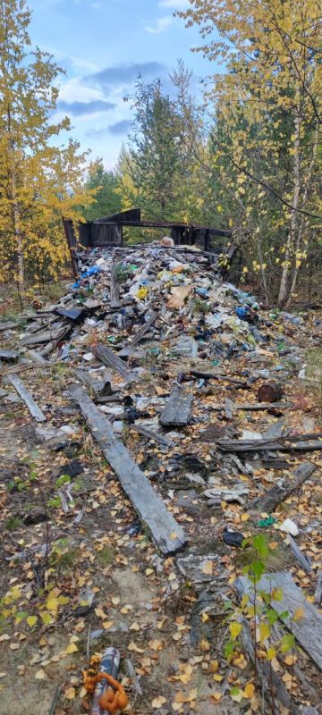 Отдых на природе? Нет, на свалке Отдых на природе? Нет, на свалке