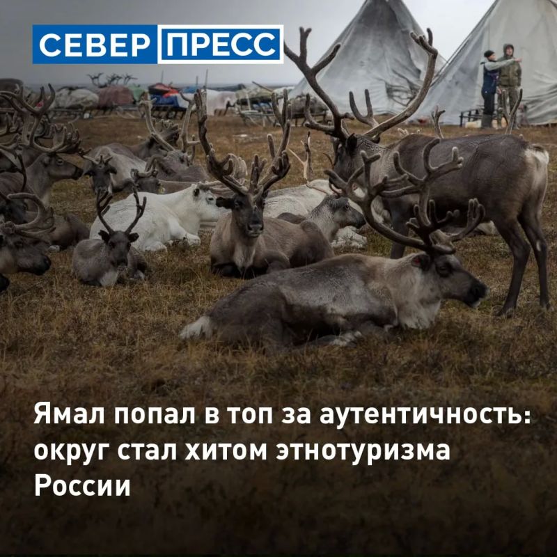 Ямал привлекает российских туристов, предлагая глубокое этнографическое погружение