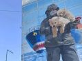 Пока вы спали, что произошло: на Ямале, в России и мире