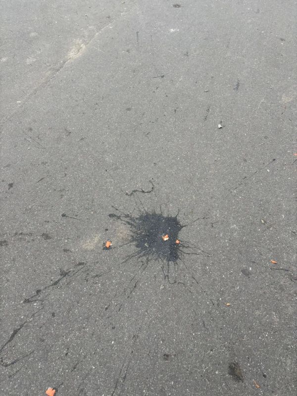 В Ноябрьске устроили яичный обстрел с пятого этажа В Ноябрьске устроили яичный обстрел с пятого этажа