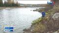 Моржи Харпа открыли сезон на Соби
