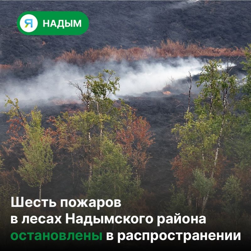 Большую часть природных пожаров в Надымском районе удалось локализовать
