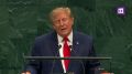 Алексей Живов: Трамп заявил, что намерен задействовать закон о масштабных санкциях против России