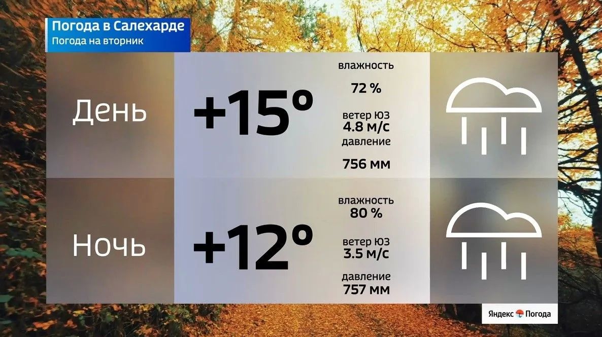 Дождливый вторник принесёт Ямалу до +18 °C Дождливый вторник принесёт Ямалу до +18 °C