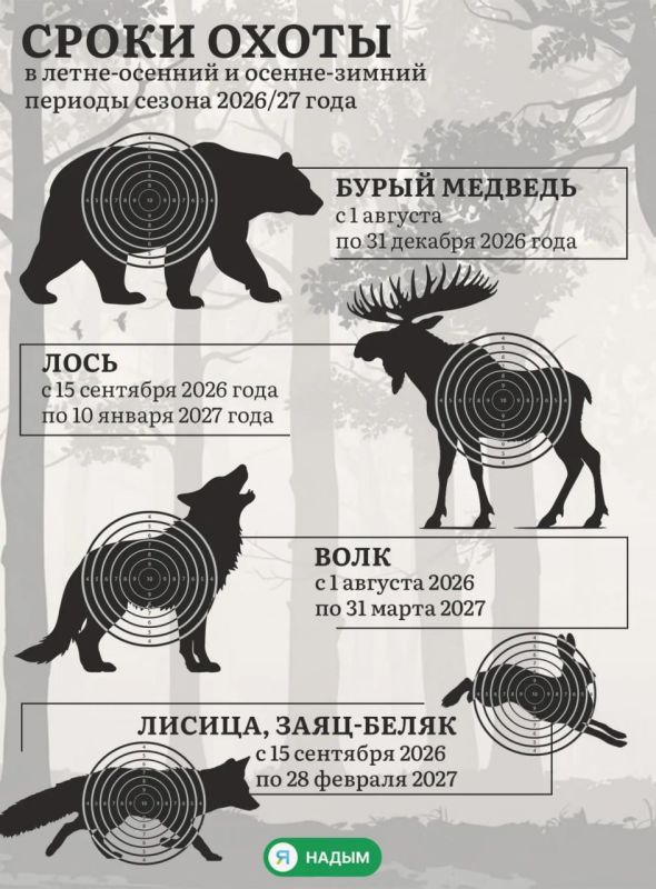 На кого и когда можно охотиться в Надымском районе?