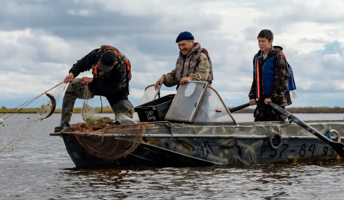 Полвека вместе: семья из Ямальского района получила «Родительскую славу» Полвека вместе: семья из Ямальского района получила «Родительскую славу»
