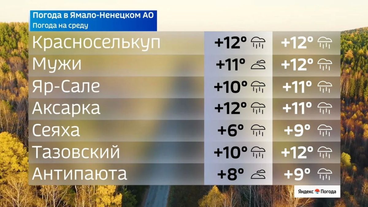 Дожди и прохлада на Ямале в среду Дожди и прохлада на Ямале в среду