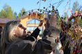 На Ямале запускают единую сеть городских культурных маршрутов