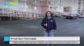 Стеклянные фасады стали причиной гибели птиц в Салехарде