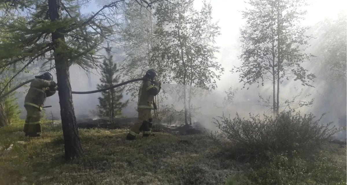 На Ямале становится меньше действующих природных пожаров: еще вчера их было 40, сегодня — 35