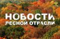 AK&M: Рослесхоз: проверки в Чувашской Республике и Псковской области выявили нарушения в ведении лесного хозяйства