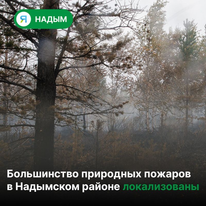 Спасатели остановили распространение восьми природных пожаров на площади 2 940 гектаров