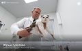 Ямалец удостоен звания «Заслуженный ветеринарный врач Российской Федерации»