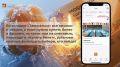 Мобильное приложение «Морошка» обновили: сервис стал удобнее и быстрее