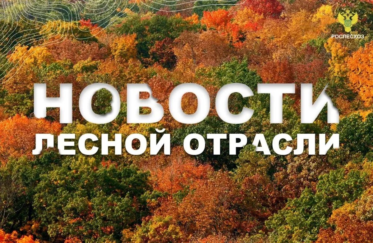 AK&M: Рослесхоз: проверки в Чувашской Республике и Псковской области выявили нарушения в ведении лесного хозяйства
