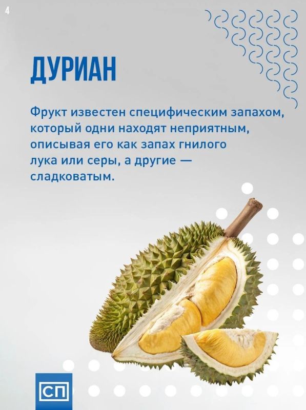 О вкусах не спорят: почему люди по-разному воспринимают запах одних и тех же продуктов? Все дело не во вкусе, а в нашем мозге, генах и даже воспоминаниях О вкусах не спорят: почему люди по-разному воспринимают запах одних и тех же продуктов? Все дело не во вкусе, а в нашем мозге, генах и даже воспоминаниях