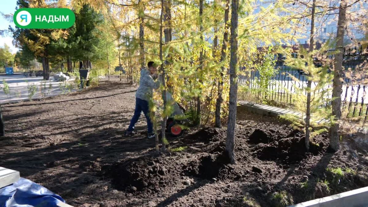В парке имени Е. Ф. Козлова возобновилось строительство детской площадки