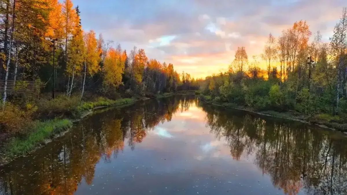 Самая красивая осень — на Ямале! Самая красивая осень — на Ямале!
