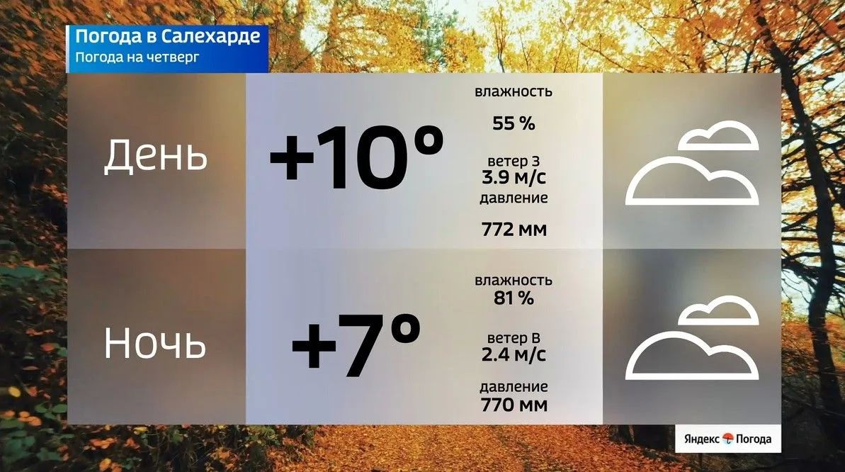 Сентябрьский Ямал готовится к переменам Сентябрьский Ямал готовится к переменам