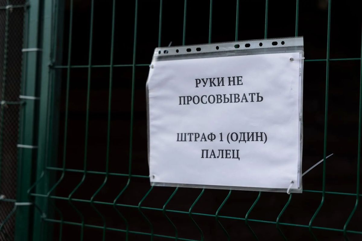 Настоящая дикая тундра в Салехарде Настоящая дикая тундра в Салехарде