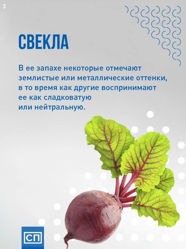 О вкусах не спорят: почему люди по-разному воспринимают запах одних и тех же продуктов? Все дело не во вкусе, а в нашем мозге, генах и даже воспоминаниях О вкусах не спорят: почему люди по-разному воспринимают запах одних и тех же продуктов? Все дело не во вкусе, а в нашем мозге, генах и даже воспоминаниях